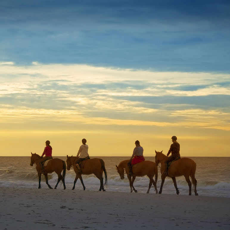 Things to do in Aruba